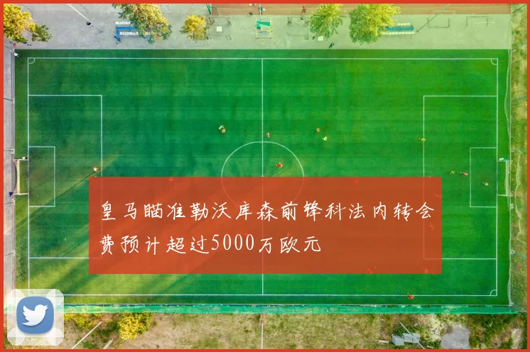 皇马瞄准勒沃库森前锋科法内转会费预计超过5000万欧元