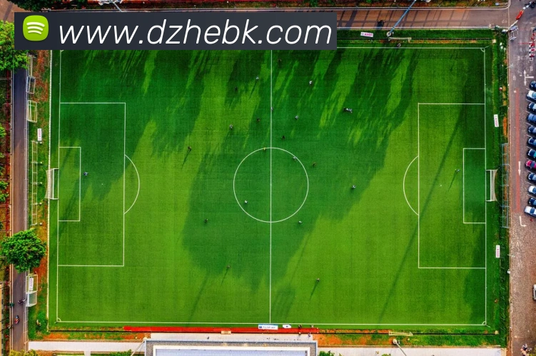 乐竞体育平台生态图